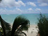 Snorkeling directly in front of your aitutaki accommodation