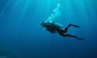 diving in the open ocean
