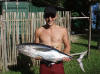 tuna on the morning of his wedding, aitutaki fishing