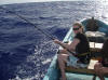 Debra, do you need a little help with that yellow fin? aitutaki fishing