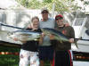 The honeymooners with Captian Fred and their first yellow fin tuna, taken at the outer fad, cook islands fishing